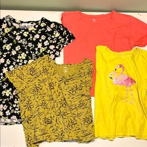 3X Springtime T-shirt bundle lot